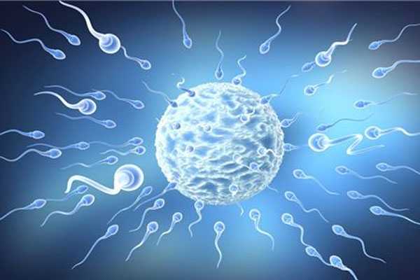 合肥代怀最新技术,最近跟漯河姐妹聊天泰国试管助孕移植2个胚胎是不是就能怀