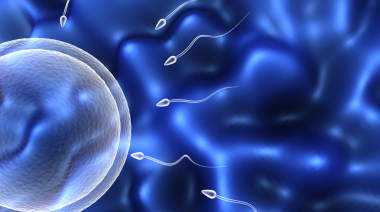 嘉宝助孕包男孩包成功_女性排卵障碍，赴美试管婴儿需要做哪些检查？