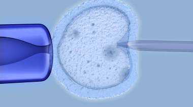 合肥代孕网怎么选择_榆林先天性输卵管炎试管婴儿费用？